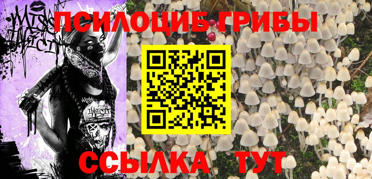 Псилоцибиновые грибы прущие грибы  Вход с VPN  Сегежа  Псилоцибиновые грибы мицелий 