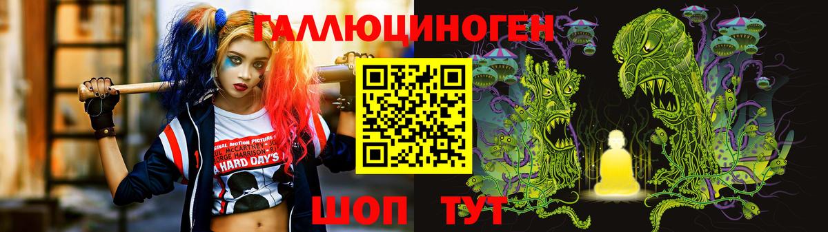 Галлюциногенные грибы Cubensis Сегежа